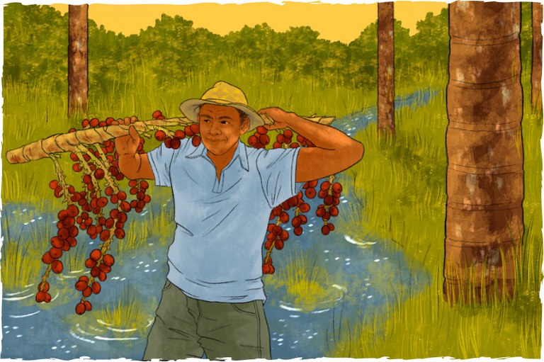 Essa é uma ilustração colorida que mostra um homem vestindo uma camiseta azul clara, um chapéu e tem um semblante de satisfação. Ele está carregando um galho com pequenos cocos nele, provavelmente de alguma palmeira. Ao fundo pode-se ver que um área alagada, com  uma vegetação inundada e troncos de palmeiras. O homem caminha por esse alagado carregando seu galho.