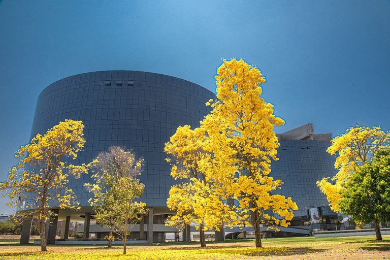 Foto dos prédios da Procuradoria-Geral da República. Há ipês amarelos floridos em primeiro plano, antes dos prédios.