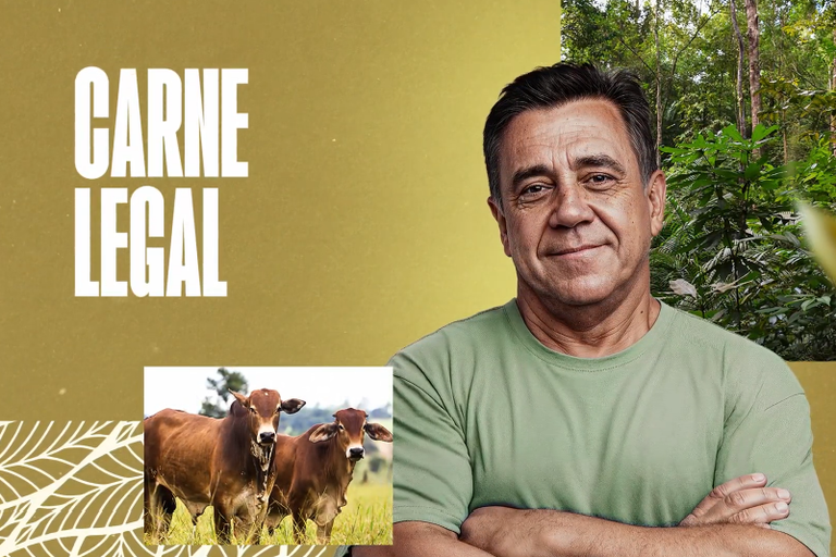 Arte na cor amarela, com homem moreno do lado direito de braços cruzados, ao fundo dele algumas árvores e do lado esquerdo da tela o texto "carne legal", com a imagem de dois bois no canto inferior esquerdo