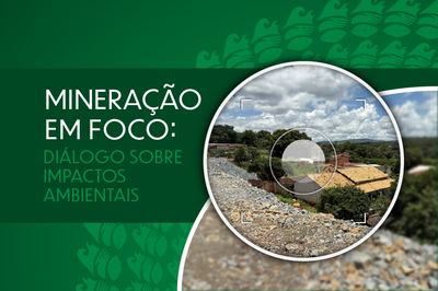 mineracaoemfoco.png