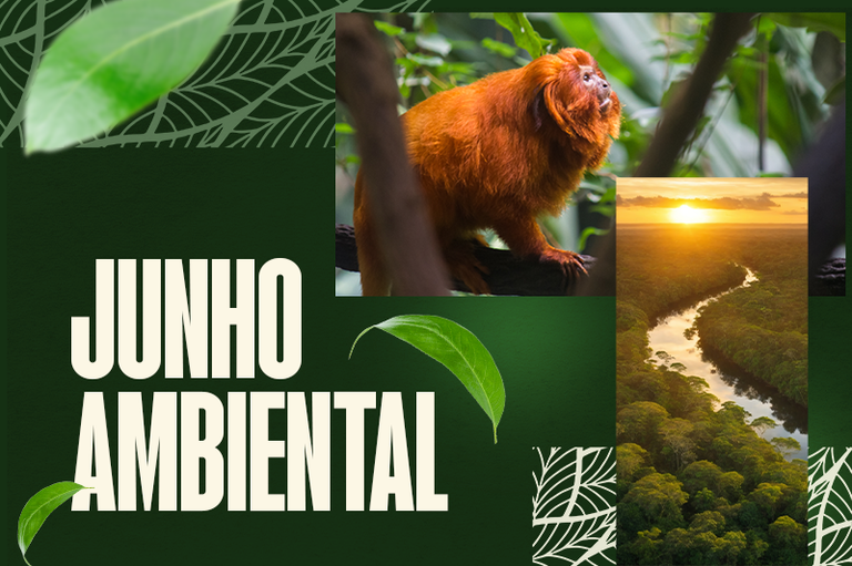 Junho Ambiental: iniciativa do MPF promove debate sobre a proteção dos biomas brasileiros