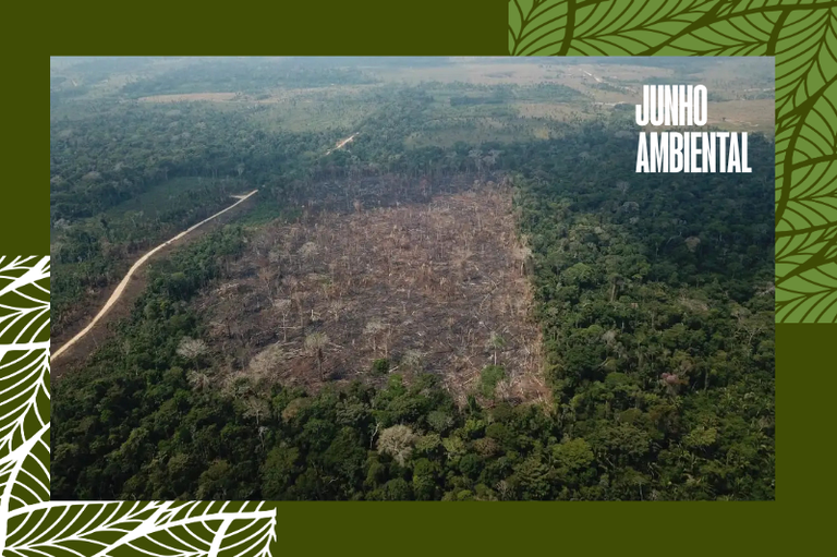 Vista aérea de desmatamento em floresta densa com uma estrada de terra lateral. A imagem possui uma moldura verde-oliva com ilustrações de folhas e traz o texto em destaque "JUNHO AMBIENTAL" no canto superior direito.