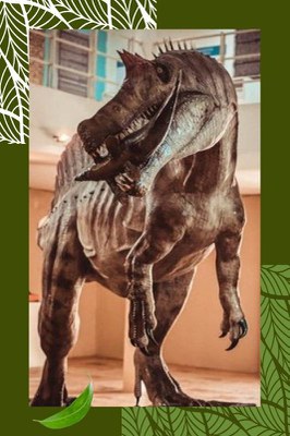 araripe fossil.jpg