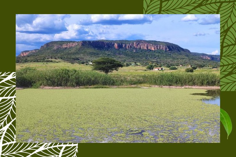 chapada araripe (2).jpg