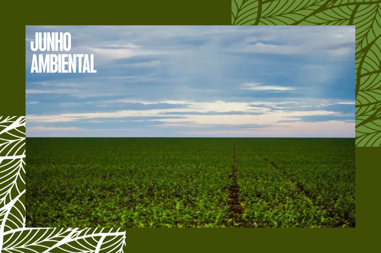 Banner Canva 800x533 (moldura) (14).png