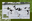 Banner Canva 800x533 (moldura) (4).png