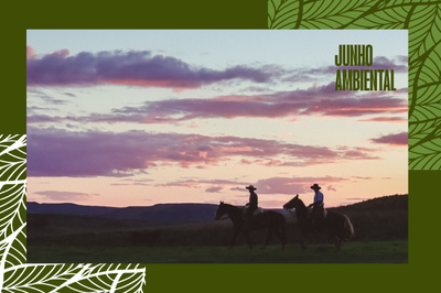 Banner Canva 800x533 (moldura).png