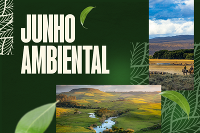 Banner_Noticias_800_533px_Bioma_7_Pampa.png