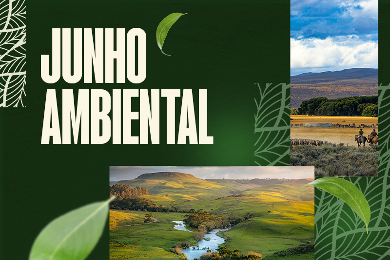 Banner_Noticias_800_533px_Bioma_7_Pampa.png