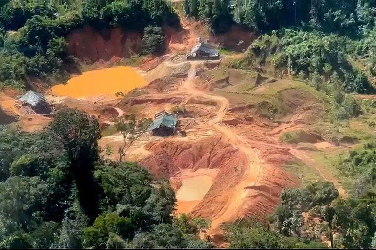 Imagem ilustrativa de uma floresta com uma área devastada pelo garimpo