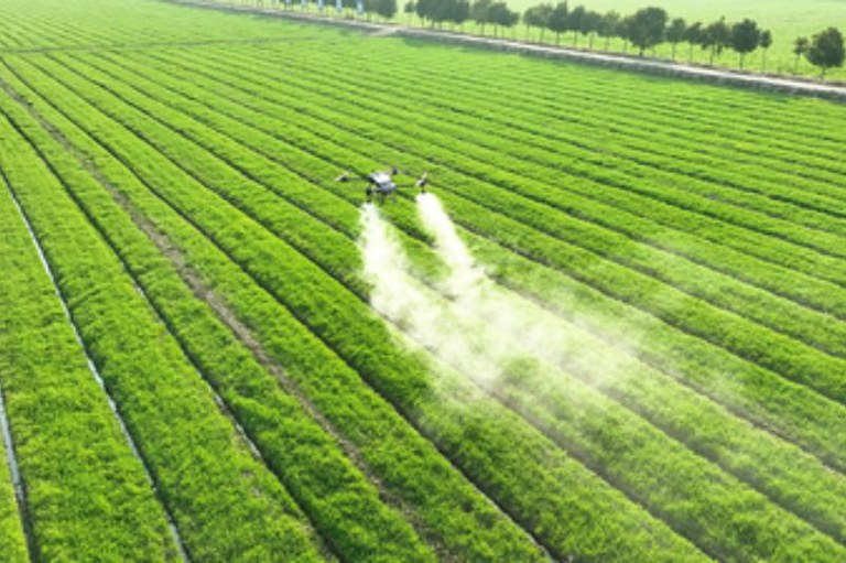 campo de soja verde sendo pulverizado por drone