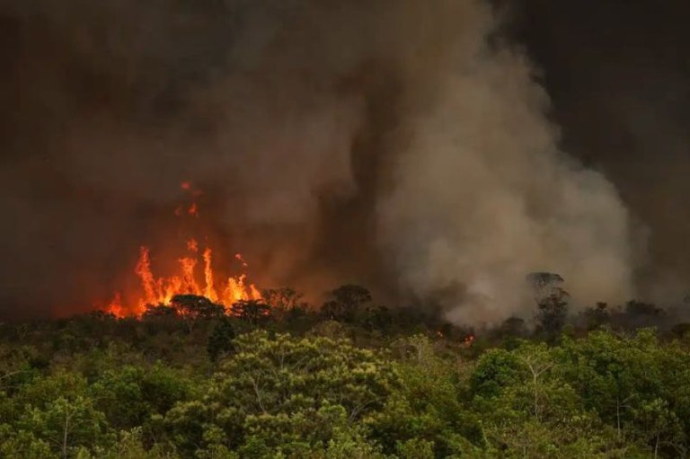 imagem de floresta em chamas com fumaça escura subindo