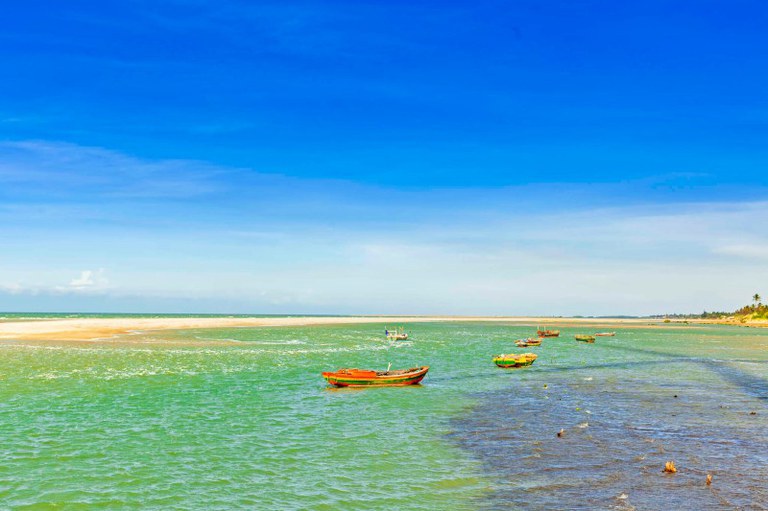 Foto mostra praia com águas verdes