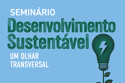 Arte com fundo azul e o nome do evento Seminário Desenvolvimento sustentável um olhar transversal escrito no centro com letras brancas e verdes, ao lado o desenho de uma lâmpada com uma representação de raio e caule de uma planta no pé