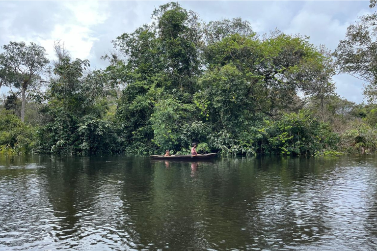imagem de rio e árvore com canoa e duas pessoas dentro da canoa, céu azul ao fundo