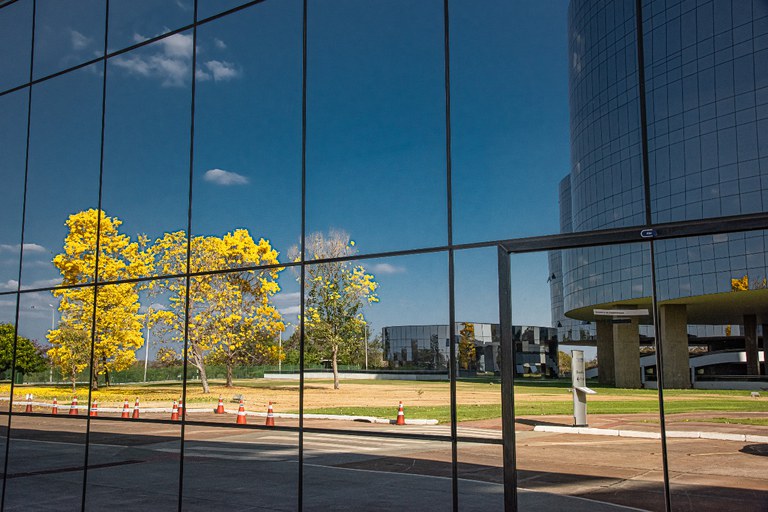 Foto usa reflexo de um dos prédios da PGR para mostrar os blocos A e B (os blocos principais). A foto também mostra um ipê amarelo.