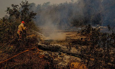 Foto ilustrativa: Reprodução/Agência Brasil pantanal-gov.jpeg