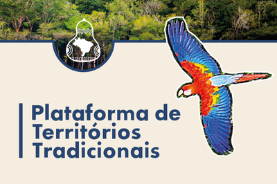 Banner da "Plataforma de Territórios Tradicionais" com fundo de floresta, o texto em azul, um logotipo com o mapa do Brasil e uma arara colorida voando à direita.