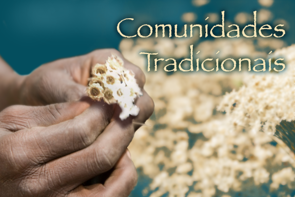 Imagem de uma pessoa segurando flores secas e a expressão comunidades tradicionais escrita no canto superior direito