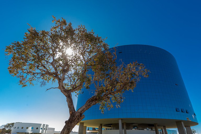 Foto da fachada do prédio da Procuradoria-Geral da República, em Brasília, com uma árvore na frente
