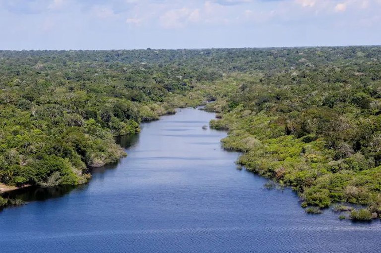 Imagem de rio com arvores verdes em volta e céu claro