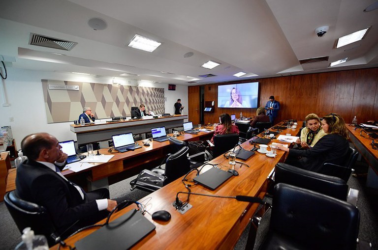 Fotografia mostra um debate numa sala do Senado Federal. Senadores e senadoras ouvem uma palestrante que participa do debate por vídeo conferência.