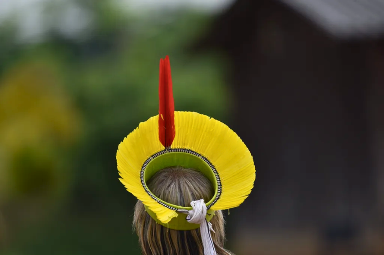 Foto vista de trás de uma pessoa usando um cocar amarelo em leque com uma pena vermelha no topo. O fundo desfocado mostra vegetação e uma estrutura escura.