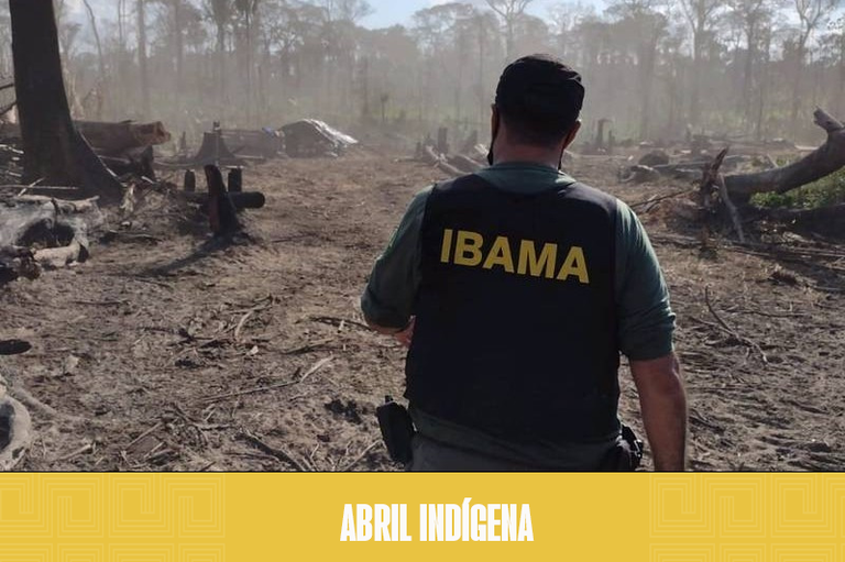 Foto mostra um agente do Ibama em uma operação contra desmatamento na terra indígena