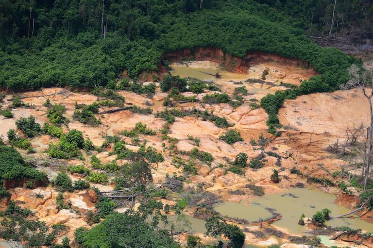 Vista aérea de uma área de garimpo com solo barrento exposto, poças de água turva e árvores derrubadas em meio à vegetação densa da floresta.