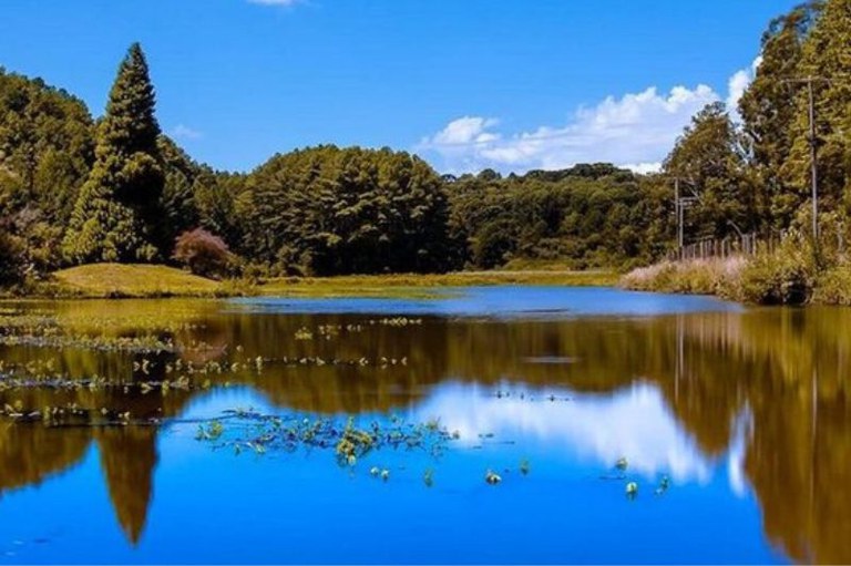 Foto mostra a Floresta Nacional de Canela com vegetação e água