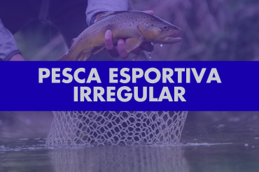 A imagem apresenta uma composição visual sobreposta por um filtro roxo transparente, destacando ao centro uma faixa azul vibrante com o texto "PESCA ESPORTIVA IRREGULAR" em letras maiúsculas brancas. Ao fundo, a fotografia mostra as mãos de um pescador segurando um peixe (aparentemente uma truta) logo acima de uma rede de pesca submersa na água, sugerindo um contexto de fiscalização ou alerta sobre práticas de pesca que não seguem as normas ambientais vigentes.