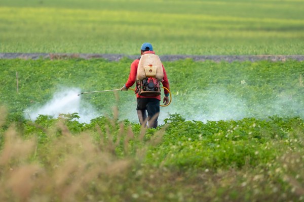 Foto colorida mostra homem de costas aplicando agrotóxico em lavoura, com um pulverizador nas costas; há nuvens de produto sobre as plantas.