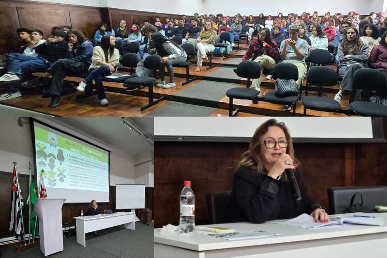Montagem com fotos da procuradora regional da República Fátima Aparecida de Souza Borghi falando para o público de alunos da ETESP.
