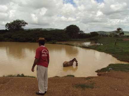 A imagem mostra um homem em pé, de costas, vestindo uma camiseta vermelha, calça clara e chapéu, observando um cavalo que está parcialmente submerso em uma lagoa de água barrenta. Ao fundo, vê-se uma paisagem rural com vegetação verde, árvores e um céu nublado.