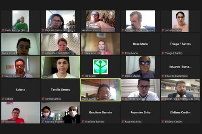 #ParaTodosVerem: Captura de tela (printscreen) de videoconferência em que há mosaico quadriculado com rostos ou imagens de nomes de 25 participantes de reunião on-line.