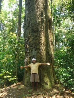 Gervásio Oliveira, liderança de Ariramba. Quilombolas fazem uso sustentável da floresta. Crédito da imagem: Incra Oeste Pará/Rondinele Querino