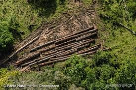 MPF/PA: homologação da Terra Cachoeira Seca é dívida histórica do Brasil com índios do Xingu
