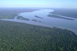 Foto aérea do encontro de dois grandes rios, o Tapajós e o Jamanxim, com florestas em volta.