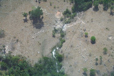  Desmatamento em Novo Progresso (imagem: Ibama) 