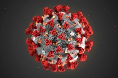 Arte retangular sobre uma imagem do vírus corona