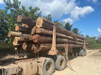 Caminhão flagrado retirando madeira da terra indígena. 