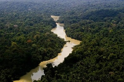 Foto aérea da Floresta Amazônica, com rio em destaque.