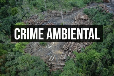 Foro mostra troncos de madeira em uma área desmatada ao fundo e ao centro em tarja preta escrito "crime ambiental" em letras brancas. 