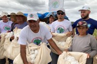 Expectativa é que primeira safra de algodão renda cerca de R$ 50 mil para comunidade de agrovila