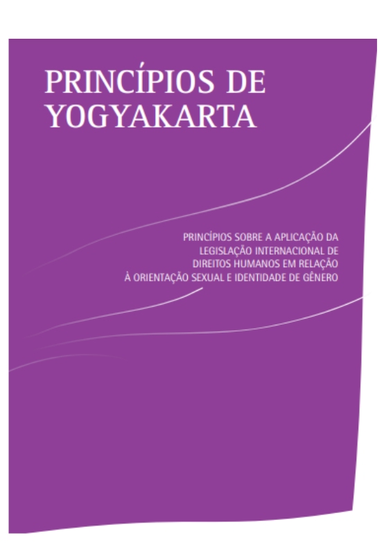 Princípios de Yogyakarta, Indonésia, 2006