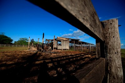 Foto mostra, em primeiro plano, a cerca de toras de madeira em uma propriedade rural