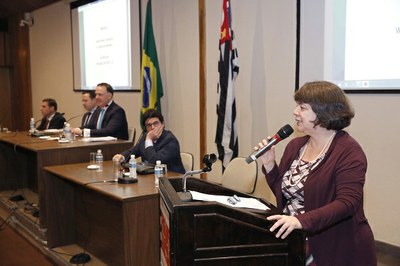 Foto mostra a Dra Luiza Frischeisen falando ao microfone durante evento.