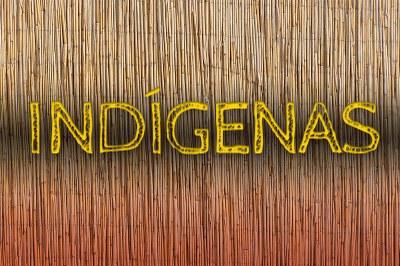 Imagem mostra a palavra "Indígenas", na cor amarela, sobre um fundo de bambus.