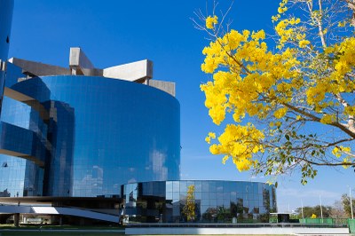Foto retangular dos prédios da pgr, tendo um pé de ipê amarelo florido à direita da imagem.