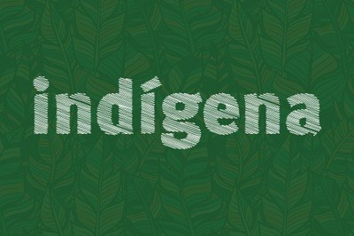 Arte mostra o texto Indígenas na cor branca sobre fundo verde com marca d'água do contorno de folhagens